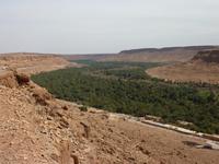 Oase in Marokko &ndash; &copy; Mandy Lehmann (Eberhardt TRAVEL)