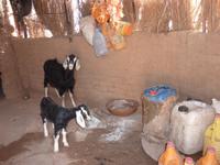 Nomaden &ndash; &copy; Mandy Lehmann (Eberhardt TRAVEL)