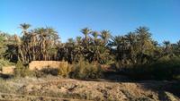 Zurück nach Marrakesch &ndash; &copy; Juliane Voigt (Eberhardt TRAVEL)