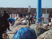Hafen Essaouira &ndash; &copy; Juliane Voigt (Eberhardt TRAVEL)