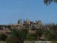 Volubilis &ndash; &copy; Anne Sturm (Eberhardt TRAVEL)