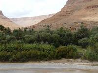 Ziz-Tal &ndash; &copy; Anne Sturm (Eberhardt TRAVEL)