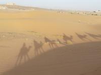 Am Rande der Sahara &ndash; &copy; Anne Sturm (Eberhardt TRAVEL)