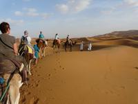Am Rande der Sahara
