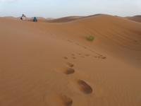 Am Rande der Sahara &ndash; &copy; Anne Sturm (Eberhardt TRAVEL)