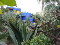 Jardin Majorelle, Marrakech &ndash; &copy; Anne Sturm (Eberhardt TRAVEL)