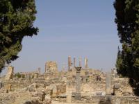 In Voloubilis