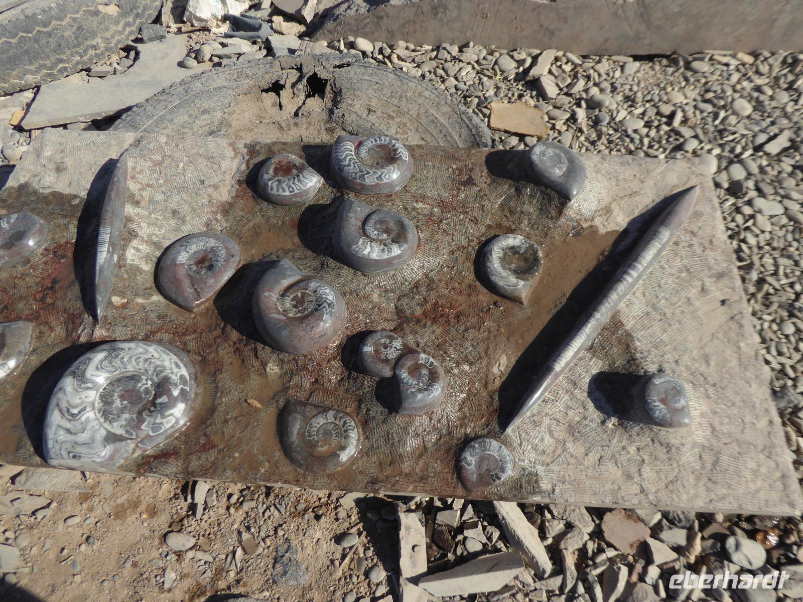 Fossilienwerkstatt &ndash; &copy; Sabine Letzybyll (Eberhardt TRAVEL)