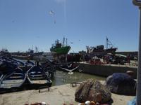 Essaouira &ndash; &copy; Sabine Letzybyll (Eberhardt TRAVEL)