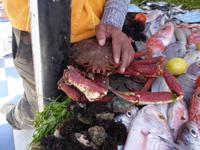 Essaouira &ndash; &copy; Sabine Letzybyll (Eberhardt TRAVEL)