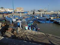 Essaouira &ndash; &copy; Sabine Letzybyll (Eberhardt TRAVEL)