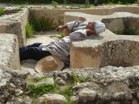 Voloubilis &ndash; &copy; Sabine Letzybyll (Eberhardt TRAVEL)