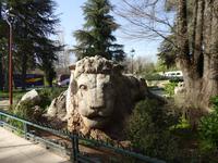 Ifrane &ndash; &copy; Sabine Letzybyll (Eberhardt TRAVEL)