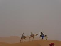 Kamelritt &ndash; &copy; Sabine Letzybyll (Eberhardt TRAVEL)