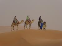 Kamelritt &ndash; &copy; Sabine Letzybyll (Eberhardt TRAVEL)