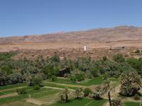 Oase &ndash; &copy; Sabine Letzybyll (Eberhardt TRAVEL)