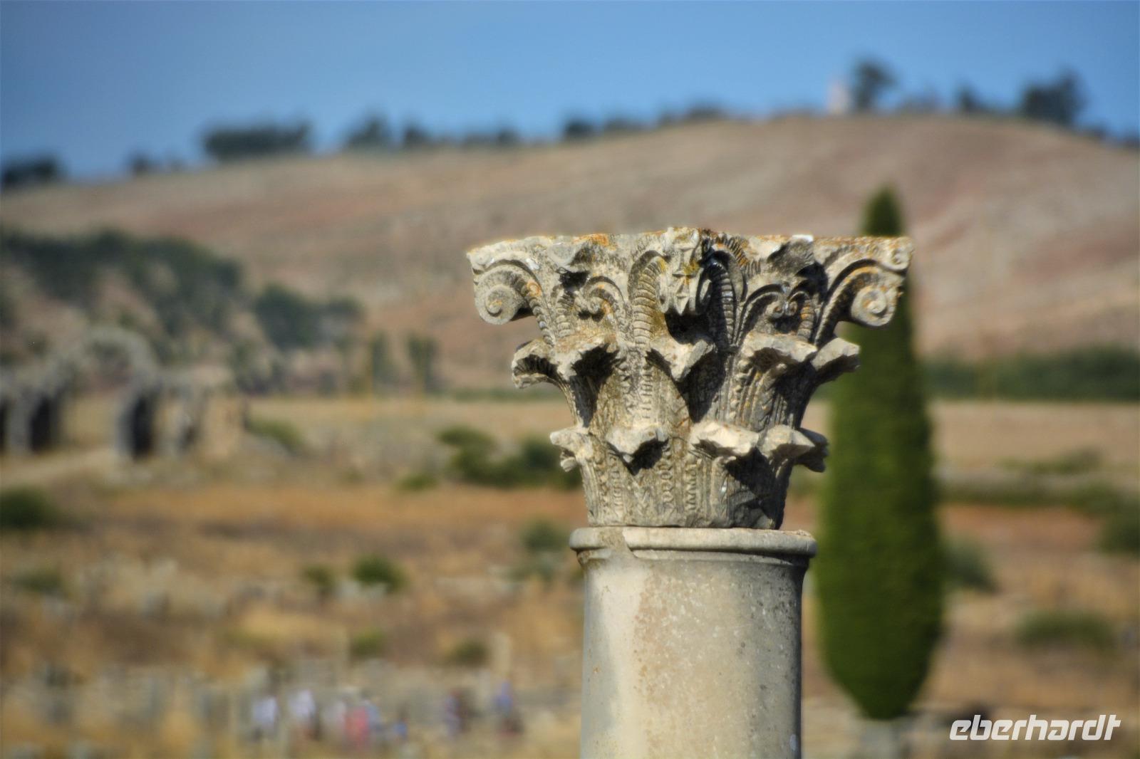 Volubilis9 &ndash; &copy; Gina Egenolf (Eberhardt TRAVEL)