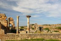 Volubilis5 &ndash; &copy; Gina Egenolf (Eberhardt TRAVEL)