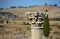 Volubilis9 &ndash; &copy; Gina Egenolf (Eberhardt TRAVEL)
