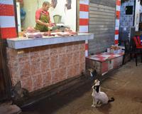 Souk1 &ndash; &copy; Gina Egenolf (Eberhardt TRAVEL)