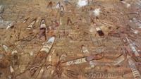 a.Fossiles Gestein &ndash; &copy; Gina Egenolf (Eberhardt TRAVEL)