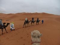 Saharafeeling &ndash; &copy; Peter Großer (Eberhardt TRAVEL)