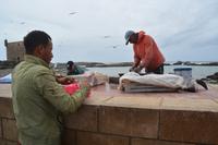 Essaouira1 &ndash; &copy; Gina Egenolf (Eberhardt TRAVEL)