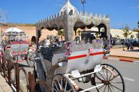 Kutsche gefällig &ndash; &copy; Gina Egenolf (Eberhardt TRAVEL)