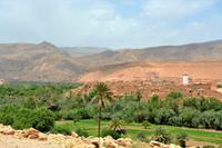 Blick in die Oase &ndash; &copy; Gina Egenolf (Eberhardt TRAVEL)