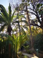 IMG_20200101_105336 &ndash; &copy; Juliane Voigt (Eberhardt TRAVEL)