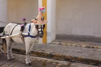 173 Einwohner von Izamal &ndash; &copy; Kerstin Heintzel (Eberhardt TRAVEL)