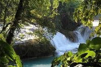 Agua Azul &ndash; &copy; Martin Jentzsch (Eberhardt TRAVEL)