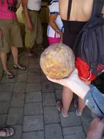 Kautschuk-Ball &ndash; &copy; Susann Kleinfeld (Eberhardt TRAVEL)