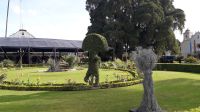 Gartenanlage um den Baum von Tule herum &ndash; &copy; Julia Kies (Eberhardt TRAVEL)