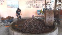 Mezcal wird aus dem 