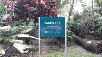 Am Eingang in Palenque &ndash; &copy; Julia Kies (Eberhardt TRAVEL)