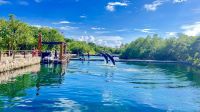 Xel-Há, Cozumel, Quintana Roo, Mexico, Caleta Xel-Ha &ndash; &copy; Manuel Gonzalez Urrutia (Eberhardt TRAVEL)