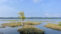 San Benito, Peten, Guatemala &ndash; &copy; Manuel Gonzalez Urrutia (Eberhardt TRAVEL)