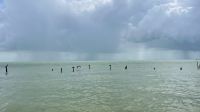 Puerto Aguada Island, Isla Aguada, Campeche, Mexico &ndash; &copy; Manuel Gonzalez Urrutia (Eberhardt TRAVEL)