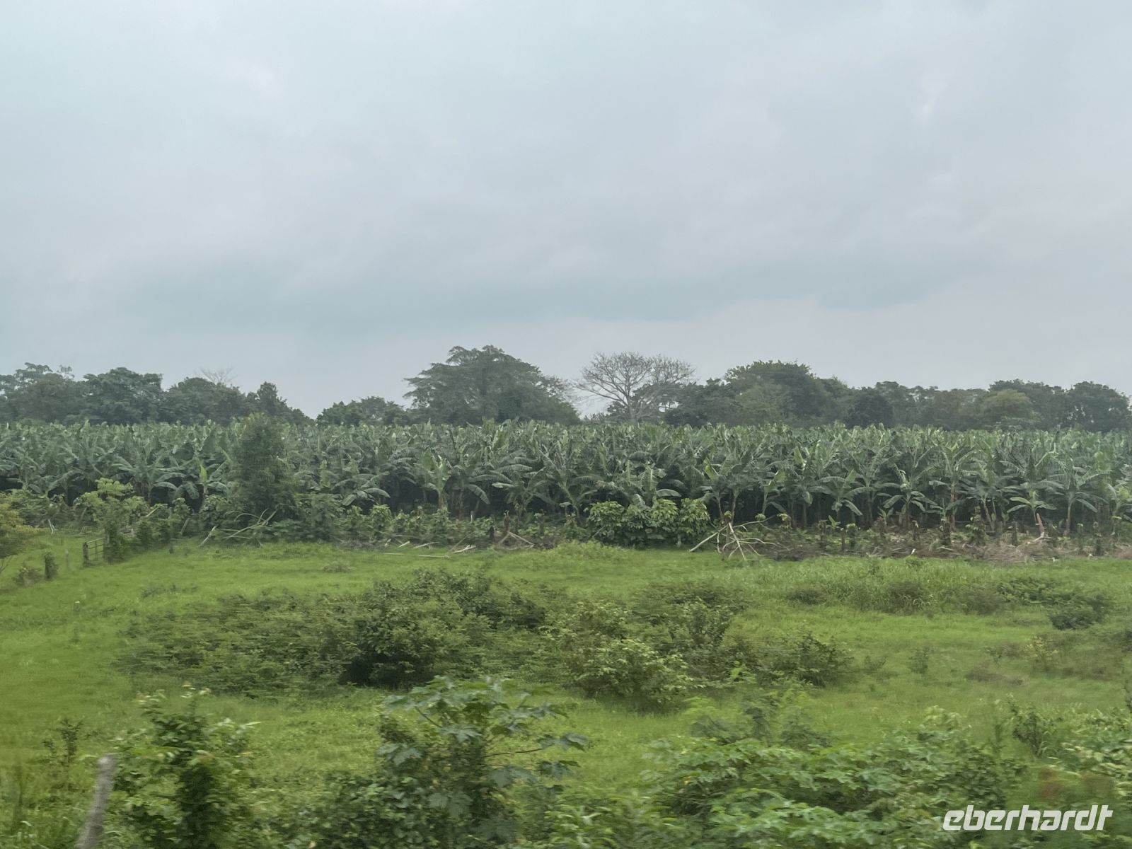 Bananenplantage &ndash; &copy; Valentin Meyer-Plath (Eberhardt TRAVEL)