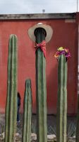 Diego Rivera Studio Museum  &ndash; &copy; Natalie Hady (Eberhardt TRAVEL)