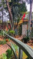 Leon Trotzky Haus &ndash; &copy; Natalie Hady (Eberhardt TRAVEL)