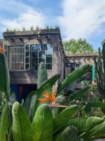 Strelitzie im Casa Azul &ndash; &copy; Natalie Hady (Eberhardt TRAVEL)
