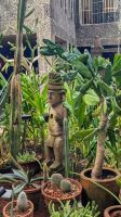 Caza Azul Frida Kahlo Museum  &ndash; &copy; Natalie Hady (Eberhardt TRAVEL)