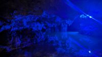 Monkey Sanctuary Akumal Cenote &ndash; &copy; Natalie Hady (Eberhardt TRAVEL)
