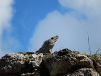 Herrscher von Uxmal &ndash; &copy; René Wächtler (Eberhardt TRAVEL)