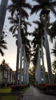16 Tage Rundreise mit Mexiko-Stadt - Teotihuacan - Cuernavaca - Taxco - Oaxaca - Monte Alban - San Cristobal de las Casas - San Juan de Chamula - Palenque - Campeche - Merida - Chichen Itza - Cancun (164) &ndash; &copy; Benjamin Rodriguez Manzanares (Eberhardt TRAVEL)