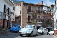 Taxco - Käfer &ndash; &copy; Eric Richter (Eberhardt TRAVEL)