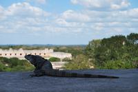 Uxmal &ndash; &copy; Eric Richter (Eberhardt TRAVEL)