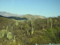  Mexiko &ndash; &copy; Sabine Letzybyll (Eberhardt TRAVEL)